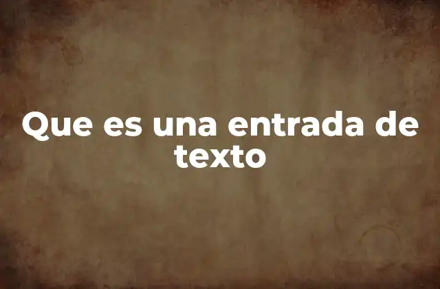 Que es una Entrada de Texto