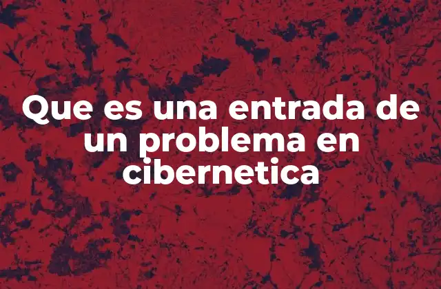 La relación entre entradas y salidas en los sistemas cibernéticos