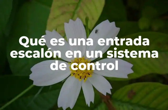 Qué es una Entrada Escalón en un Sistema de Control