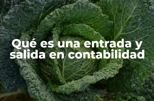 Qué es una Entrada y Salida en Contabilidad