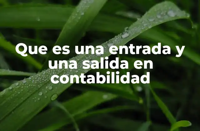 Que es una Entrada y una Salida en Contabilidad