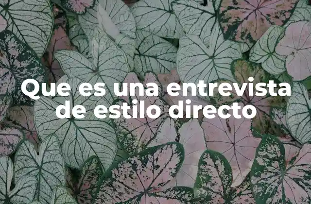 Que es una Entrevista de Estilo Directo