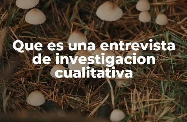 Que es una Entrevista de Investigacion Cualitativa
