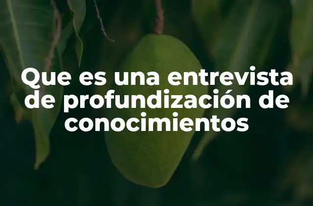 Que es una Entrevista de Profundización de Conocimientos