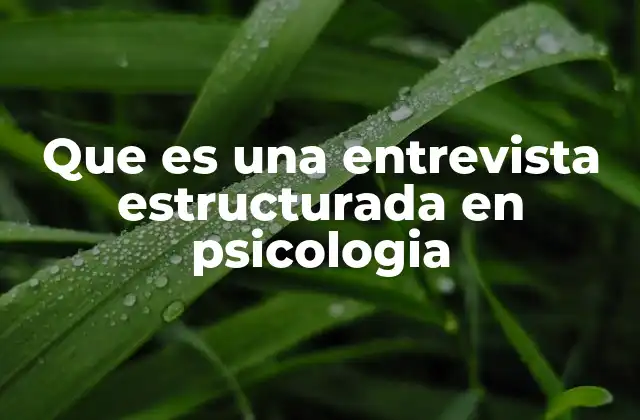 Que es una Entrevista Estructurada en Psicologia