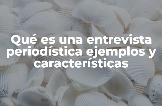 Qué es una Entrevista Periodística Ejemplos y Características