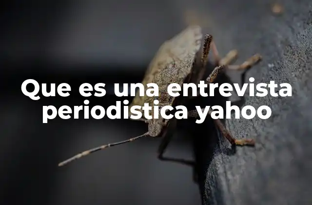 Que es una Entrevista Periodistica Yahoo