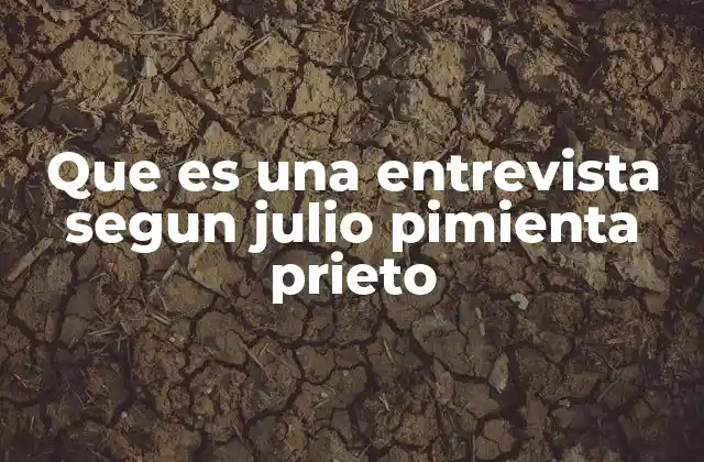 Que es una Entrevista Segun Julio Pimienta Prieto