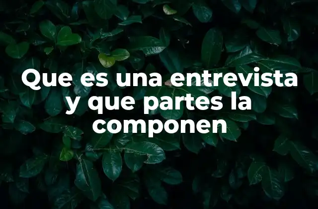 Que es una Entrevista y que Partes la Componen