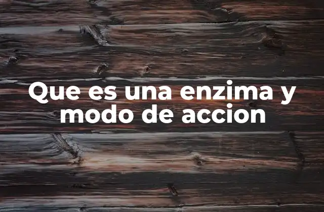 Que es una Enzima y Modo de Accion