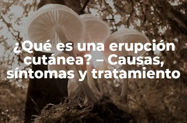 ¿qué es una Erupción Cutánea? – Causas, Síntomas y Tratamiento