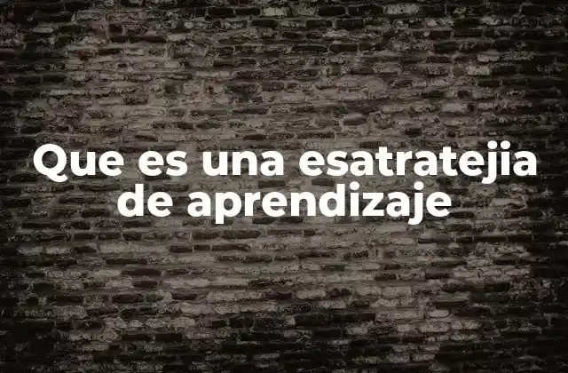 Que es una Esatratejia de Aprendizaje