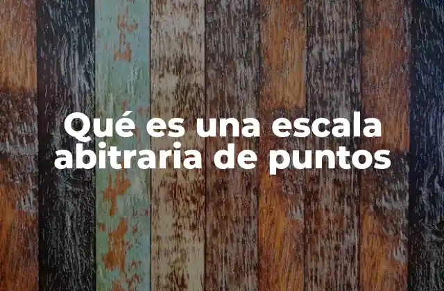 Qué es una Escala Abitraria de Puntos