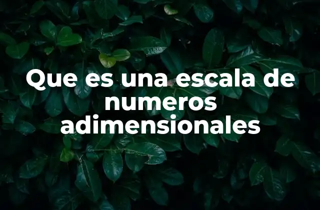 Que es una Escala de Numeros Adimensionales