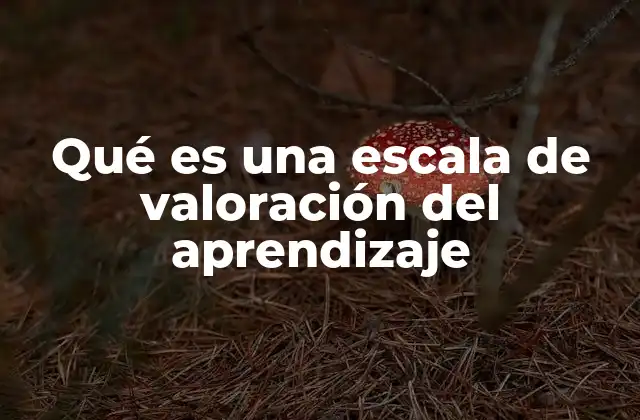 El rol de las escalas en el proceso de evaluación educativa