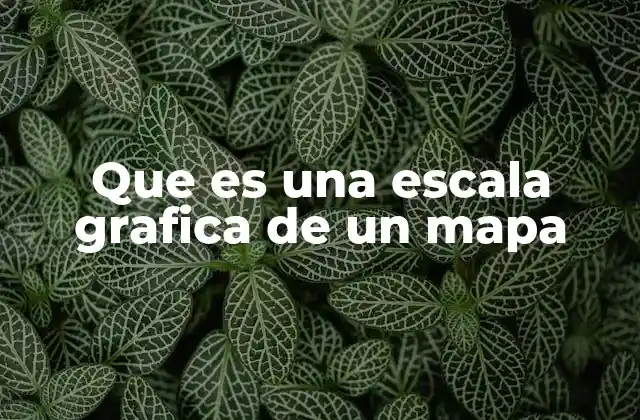 Que es una Escala Grafica de un Mapa