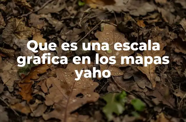 Que es una Escala Grafica en los Mapas Yaho