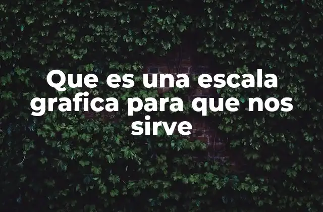 Que es una Escala Grafica para que Nos Sirve