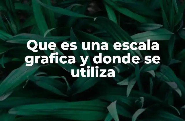 La representación visual como herramienta de medición