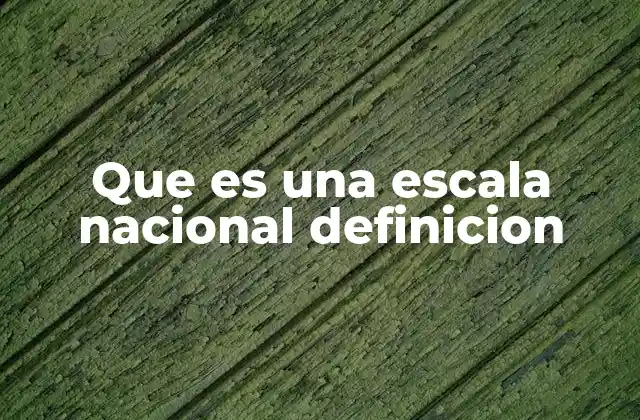 Que es una Escala Nacional Definicion