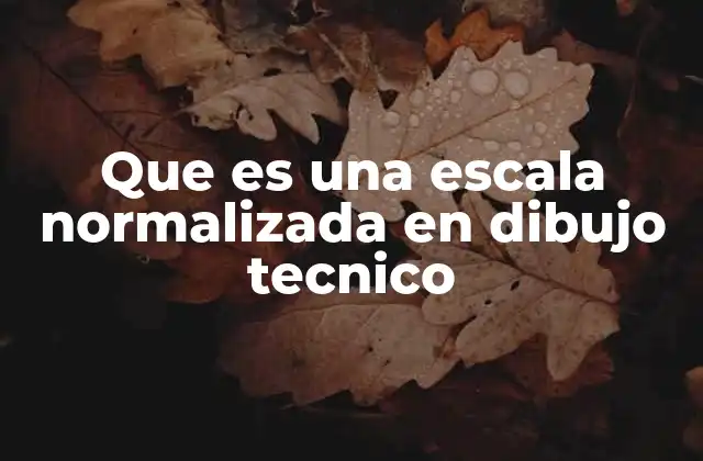 Que es una Escala Normalizada en Dibujo Tecnico