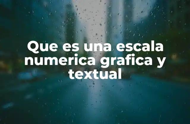 Que es una Escala Numerica Grafica y Textual