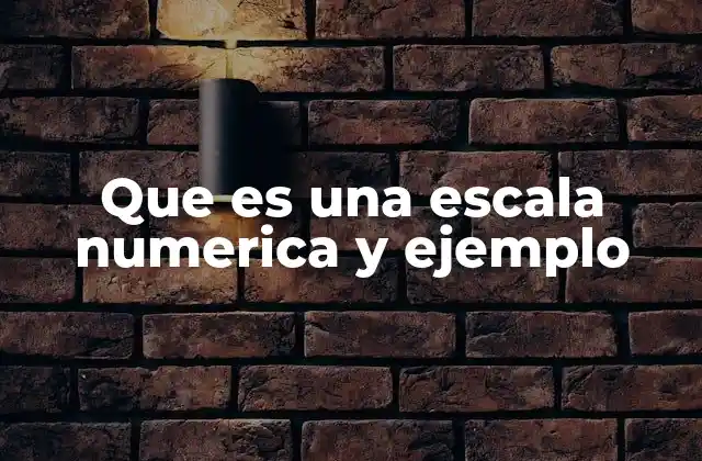El papel de las escalas numéricas en la representación visual