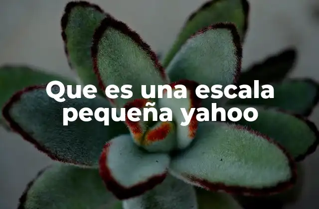 Que es una Escala Pequeña Yahoo