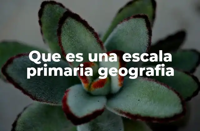 Que es una Escala Primaria Geografia
