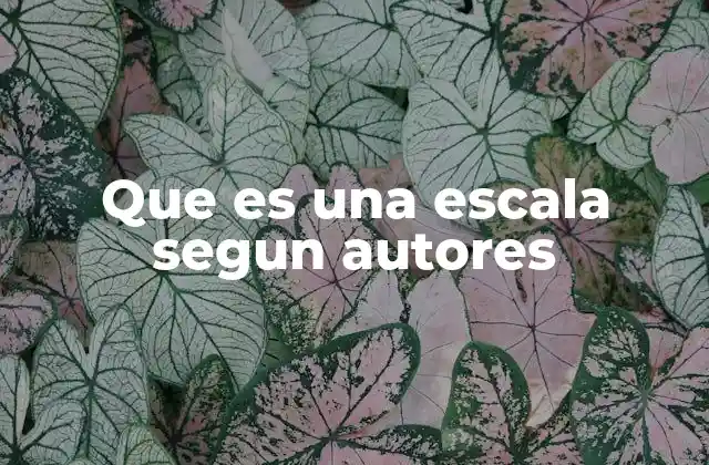 Que es una Escala Segun Autores