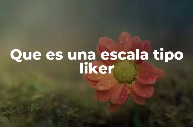 Que es una Escala Tipo Liker