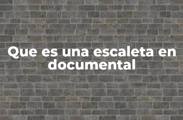 Que es una Escaleta en Documental