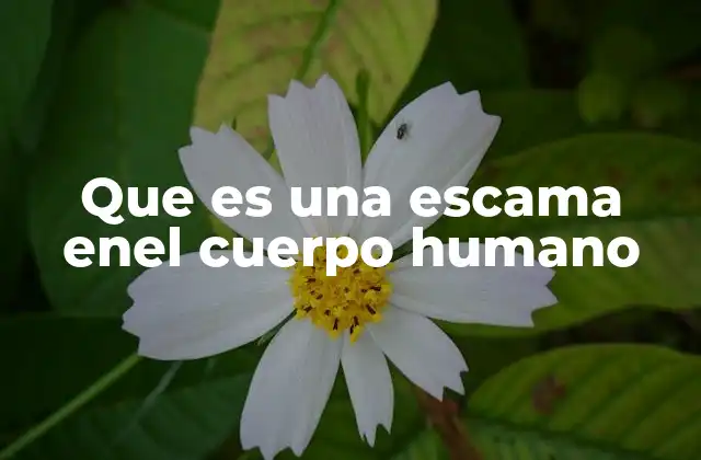 Que es una Escama Enel Cuerpo Humano