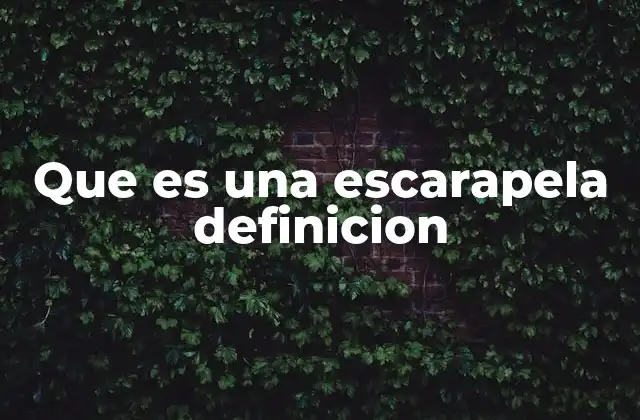 Que es una Escarapela Definicion