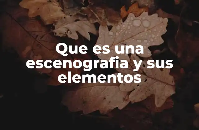 Que es una Escenografia y Sus Elementos