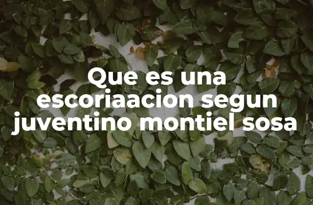 Que es una Escoriaacion Segun Juventino Montiel Sosa