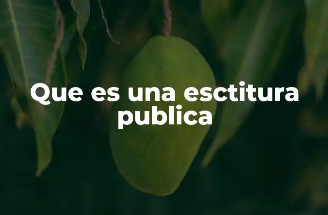 La importancia de las escrituras en el mundo legal