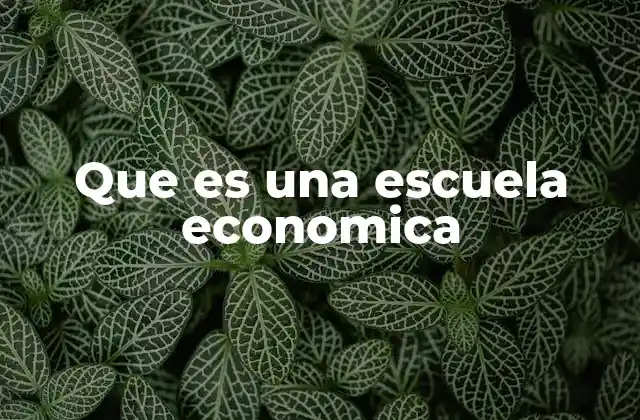 Que es una Escuela Economica