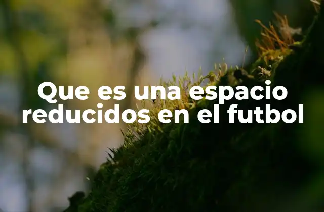 Que es una Espacio Reducidos en el Futbol