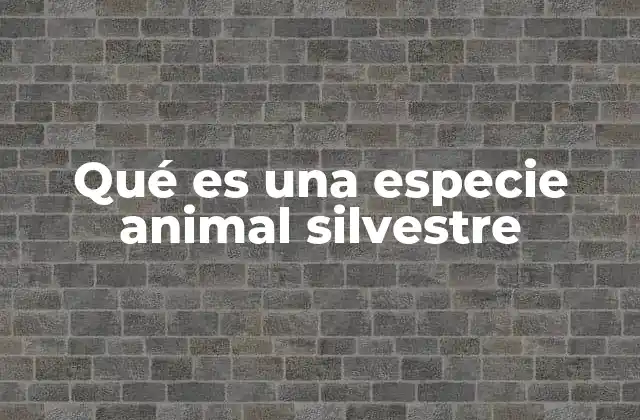 La importancia de las especies animales silvestres en los ecosistemas