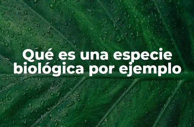 Qué es una Especie Biológica por Ejemplo
