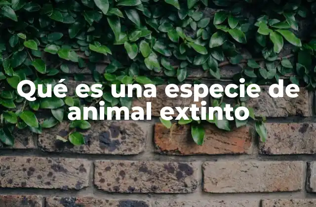 Qué es una Especie de Animal Extinto