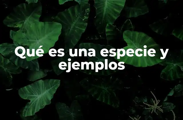 Qué es una Especie y Ejemplos