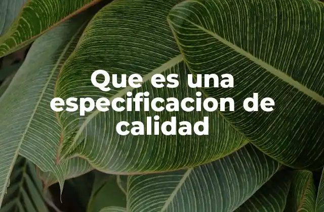 Que es una Especificacion de Calidad