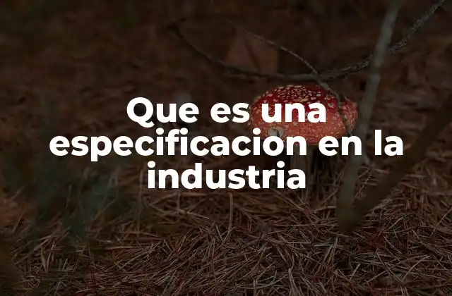 Que es una Especificacion en la Industria