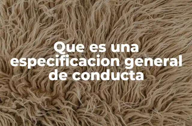 Que es una Especificacion General de Conducta