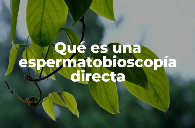 Qué es una Espermatobioscopía Directa 2 Cómo se utiliza la espermatobioscopía directa en la medicina de la fertilidad