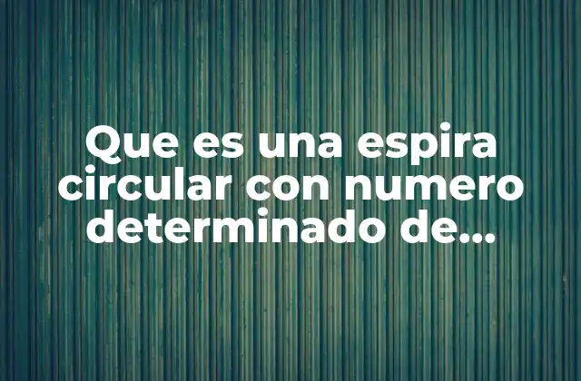 Que es una Espira Circular con Numero Determinado de Vueltas 2 Fundamentos teóricos del campo magnético en espiras circulares