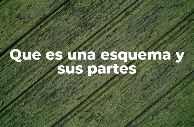 Que es una Esquema y Sus Partes