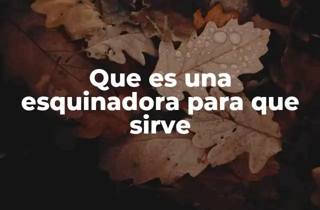 Que es una Esquinadora para que Sirve